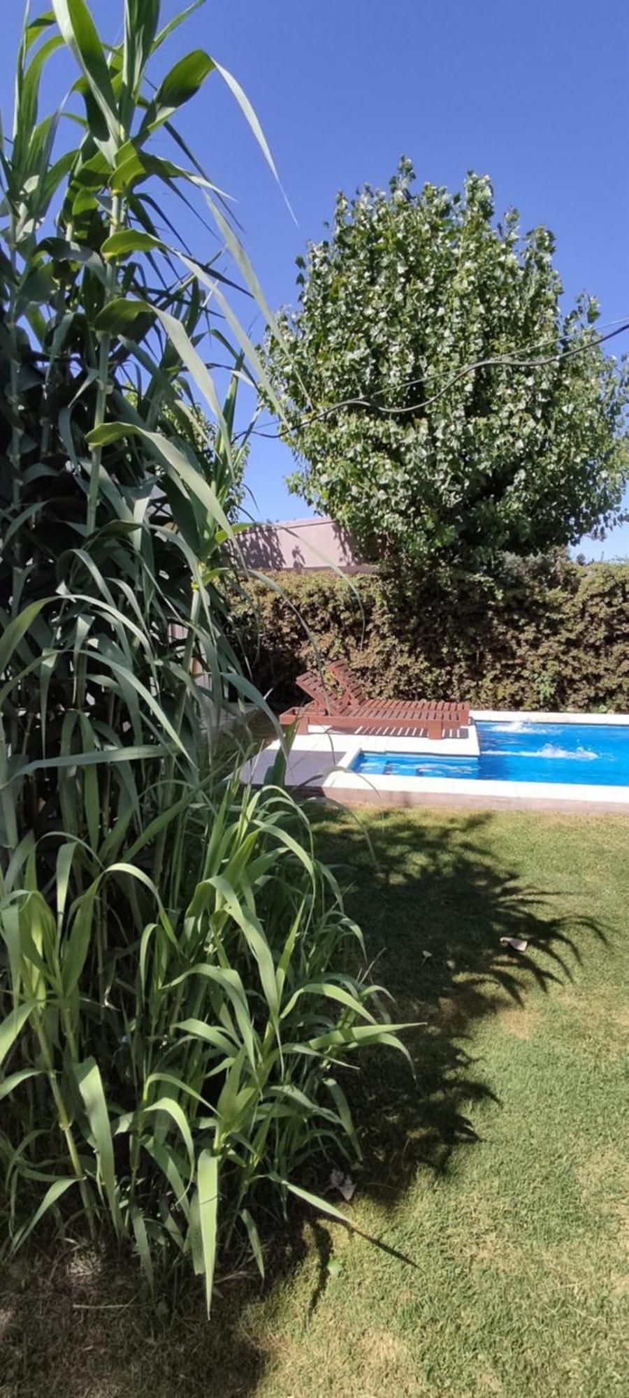 Cabana La Sonada Junin  Ruang foto